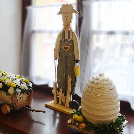 Apartamenty Centrum Villa Perla 옐레니아구라 외부 사진